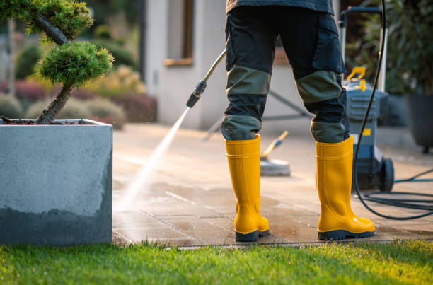 Best Pressure Washing Driveway  in Winchester, TN